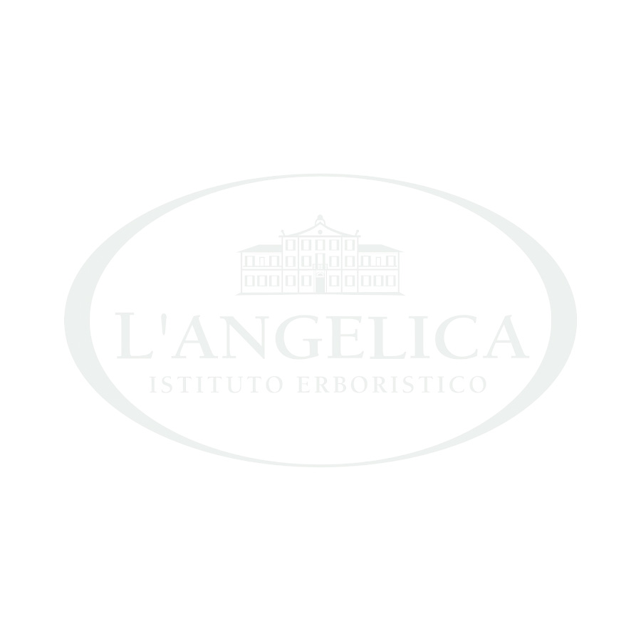 Set Tisane Calde L'Angelica: Cofanetto con 120 Filtri - 12 Gusti Differenti