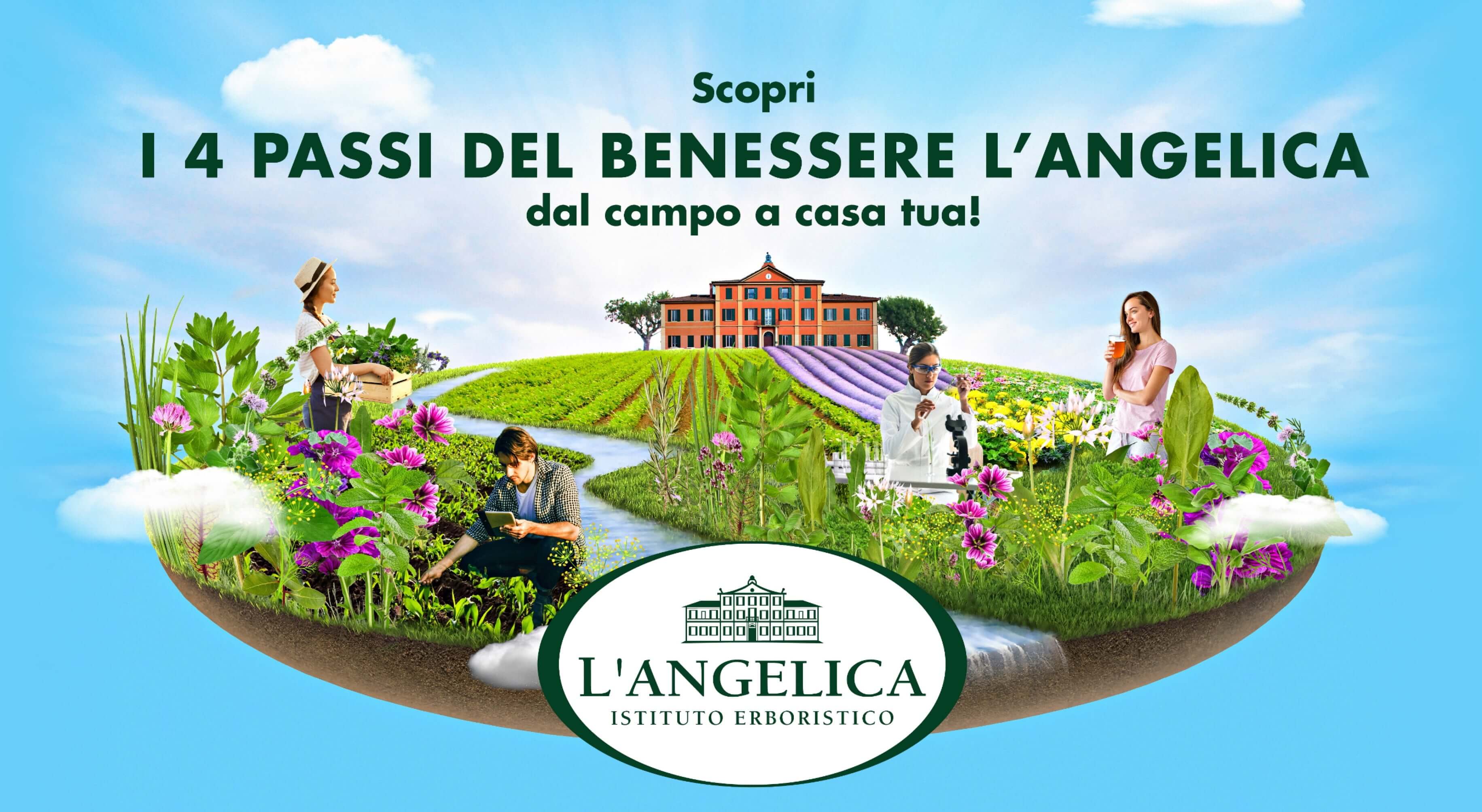 L'Istituto Erboristico L'Angelica: nuova linea di Tisane a Freddo per un  sorso di freschezza - BUONGIORNO online